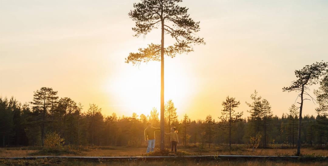 Lapland Hotels Sirkantahti 27/46