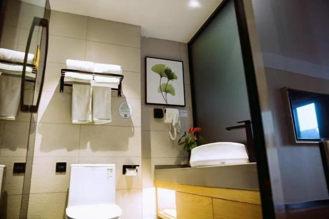 GreenTree Inn Fuyang Yingdong District Xingfu Road Century Fortune Plaza 8/22