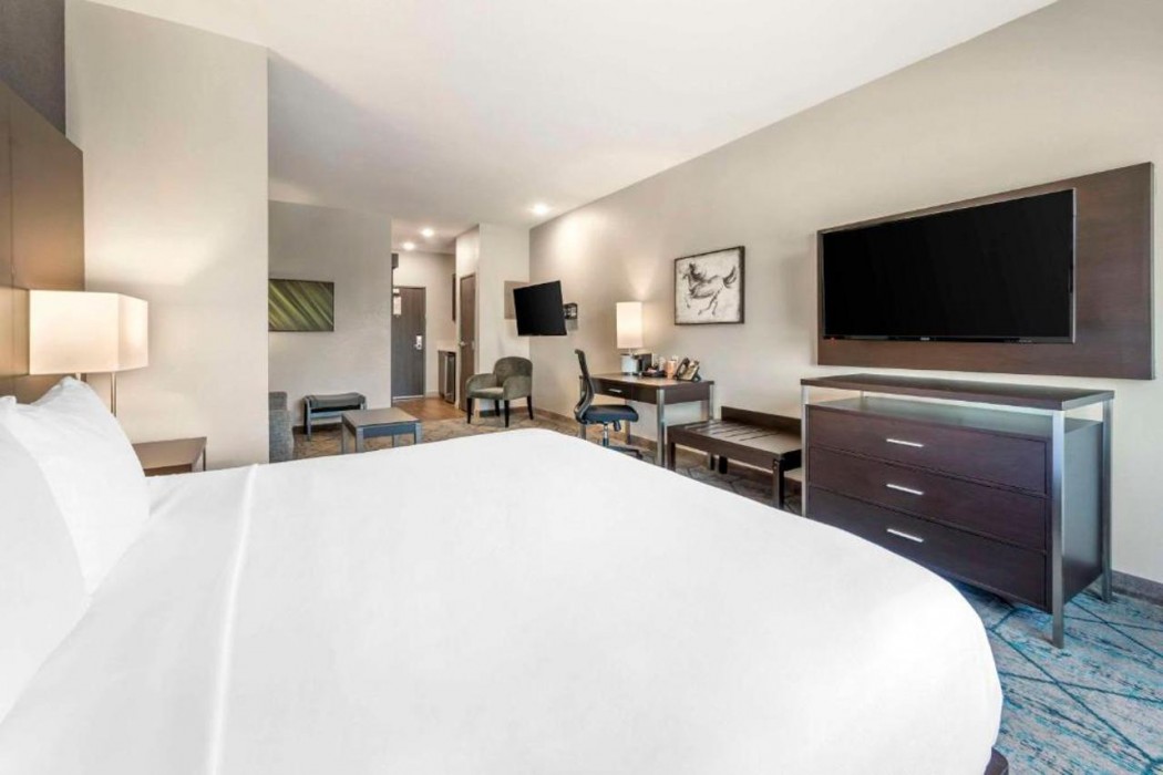 Comfort Inn & Suites Clarksville - Louisville North 15/69
