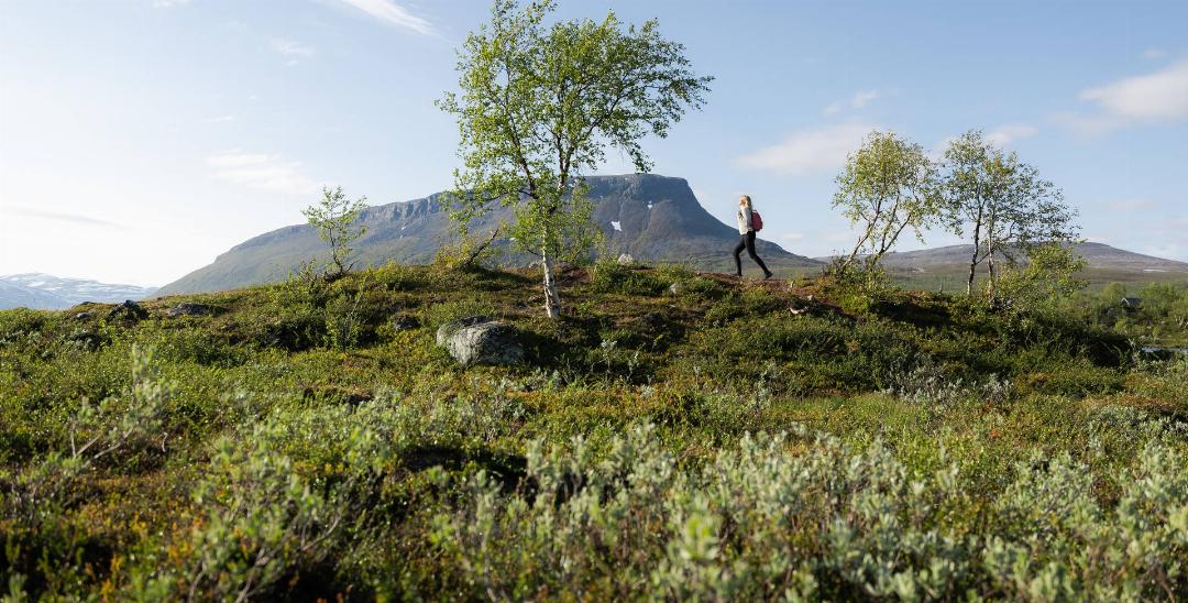 Lapland Hotels Kilpis 36/71