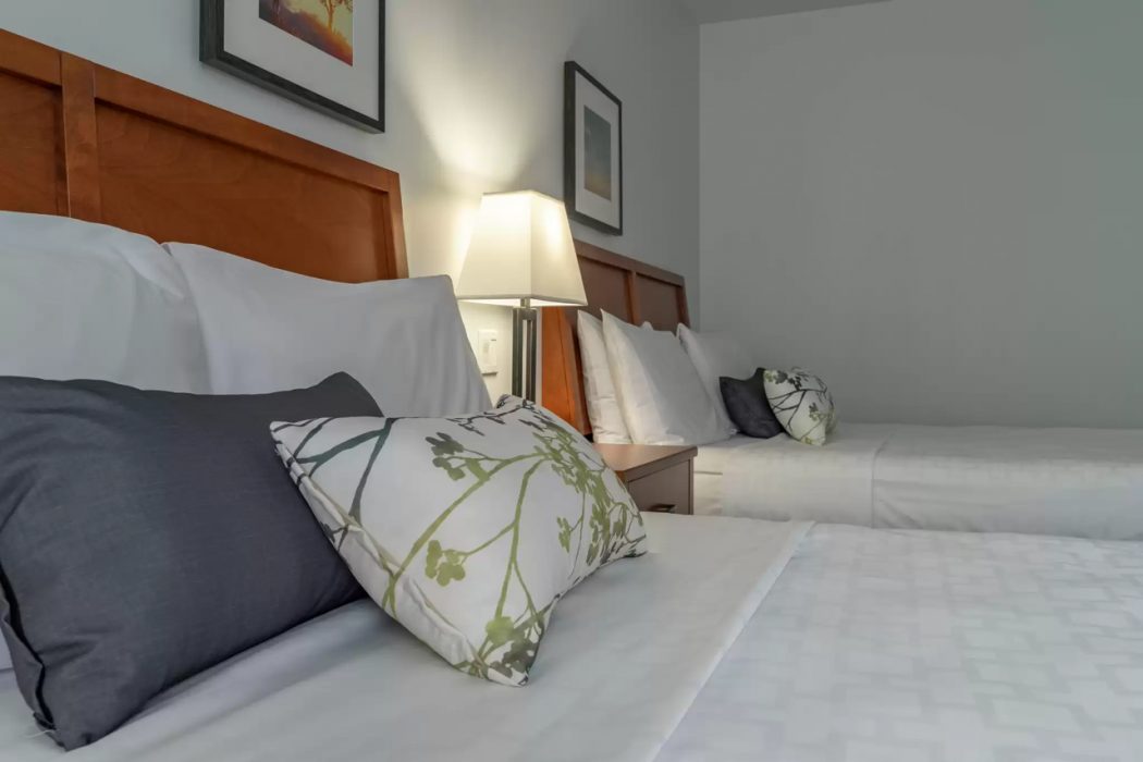 Hotel Le Victorin, an Ascend Hotel Collection Member 4/53