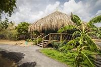 Mondi Lodge 28/77