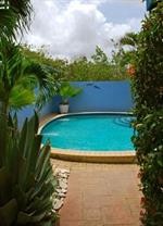 Caribbean Flower Apartments 20/38