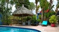 Caribbean Flower Apartments 23/38