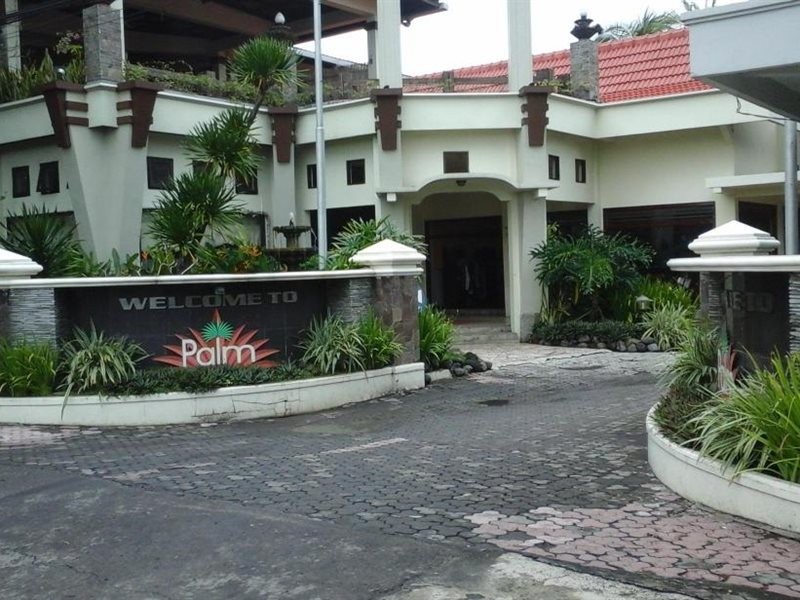 Palm Bondowoso 10/34