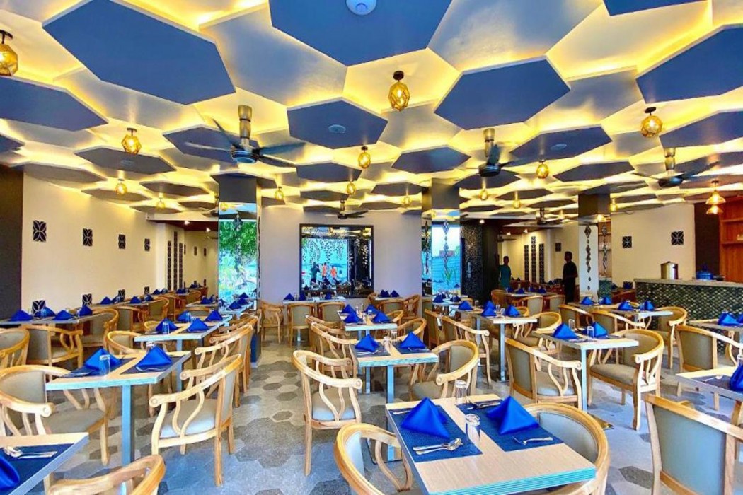 Kaani Palm Beach 33/61