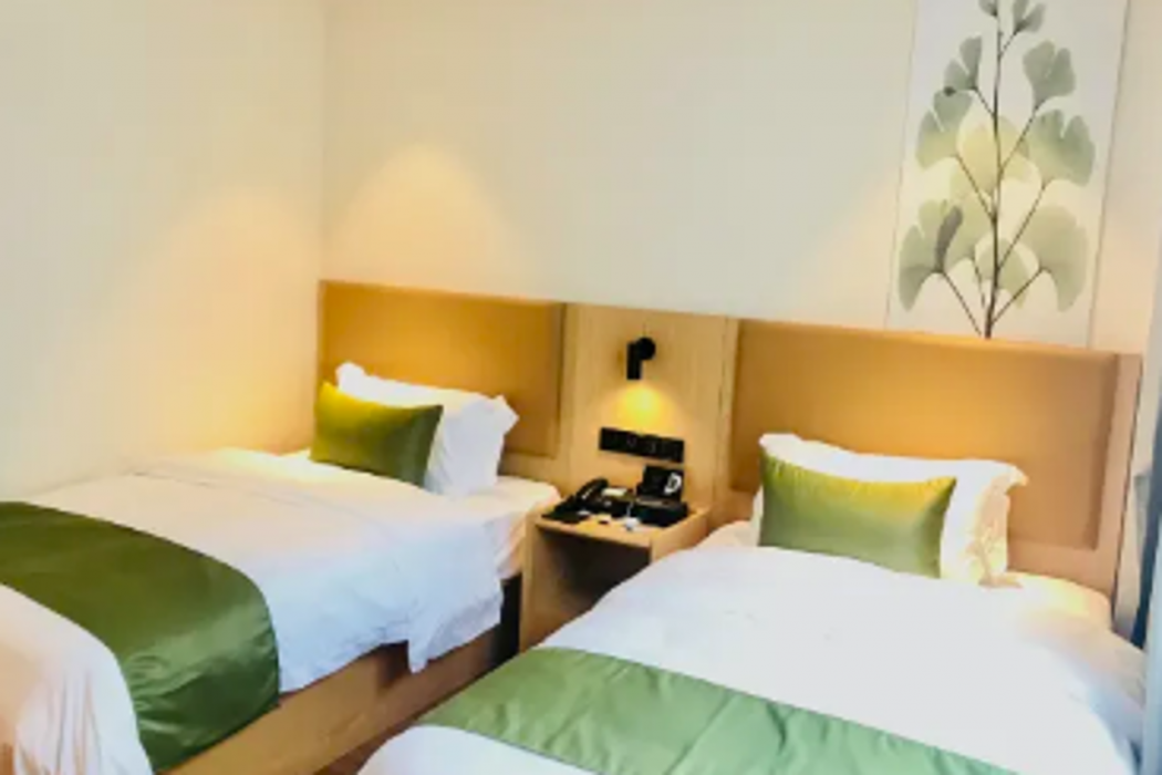 Green Tree Inn ZhiXuan Hotel (Nanning Wuxu International Airport Branch) 22/49