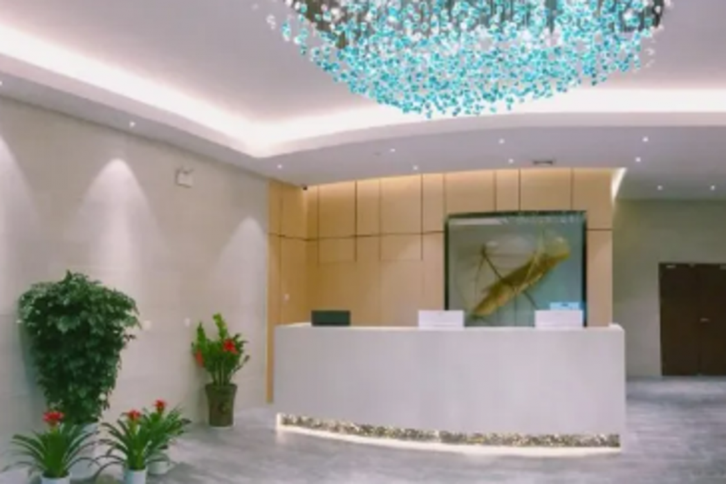 Green Tree Inn ZhiXuan Hotel (Nanning Wuxu International Airport Branch) 15/49