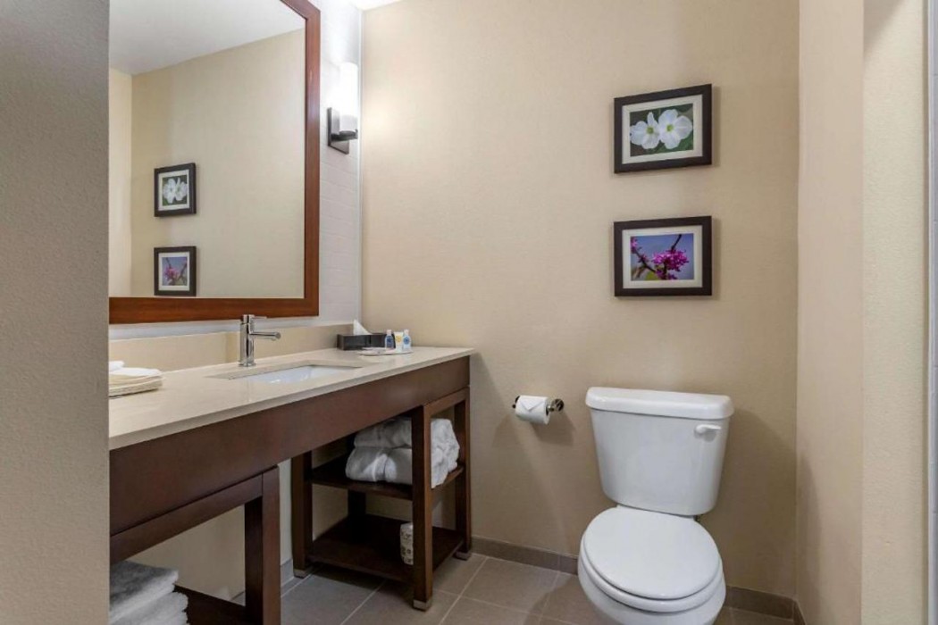 Comfort Inn & Suites Waller TX 10/36