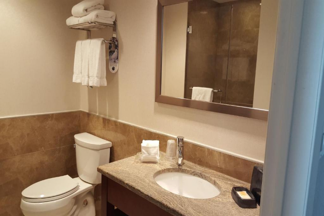LIC Manhattan View Hotel 15/32