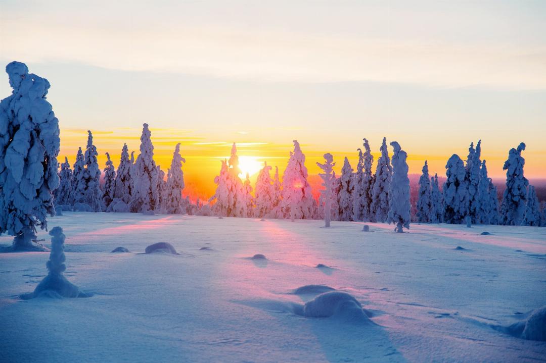 Kakslauttanen Arctic Resort in Kakslauttanen