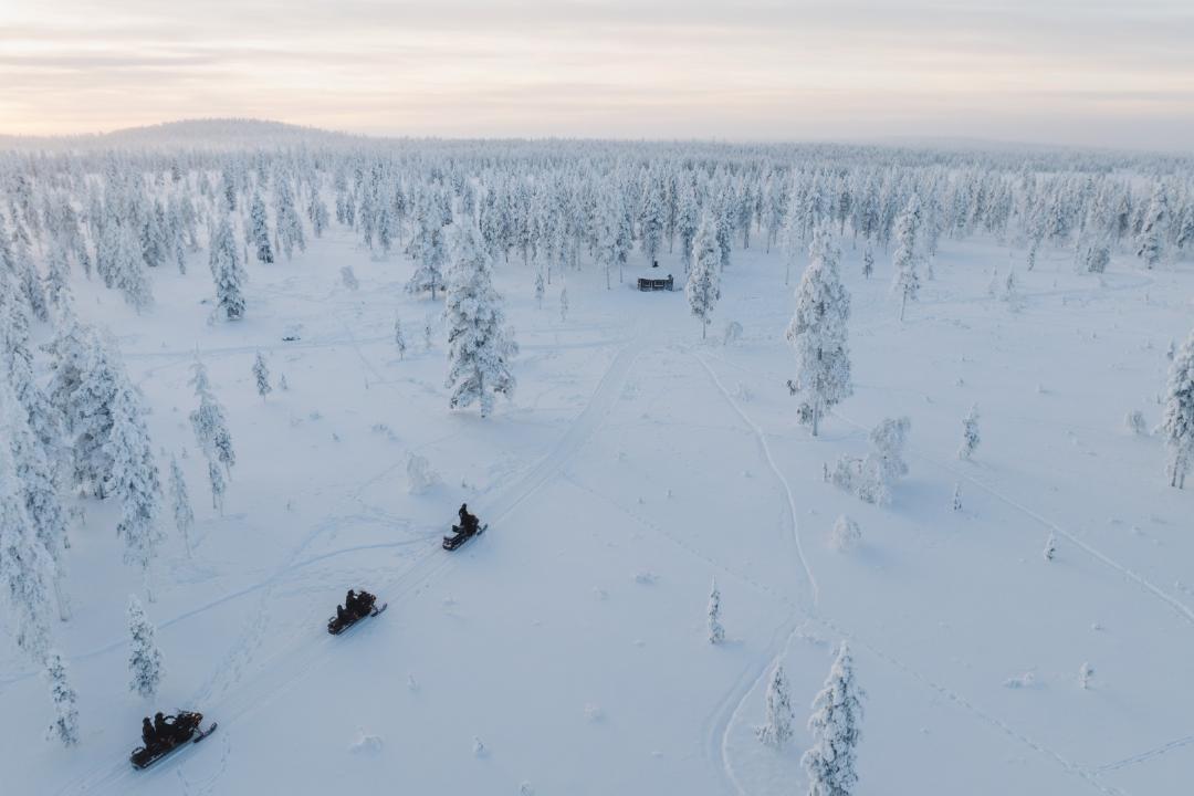 Wilderness Hotel Kieppi 21/60