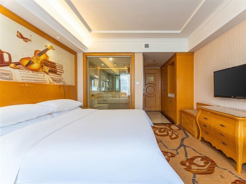 Vienna Hotel (Jiujiang Railway Station) 27/37