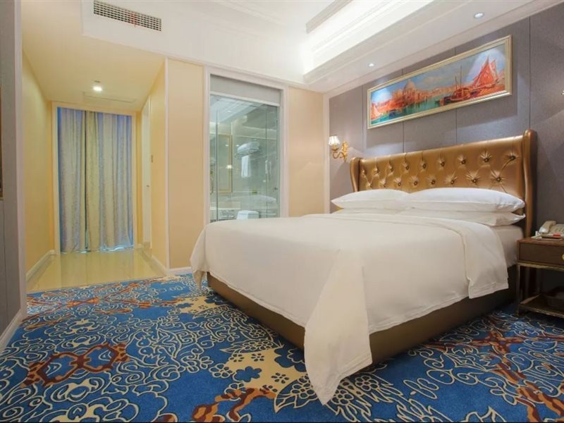 Vienna International Hotel (Mianyang High Speed Railway Station) 32/49