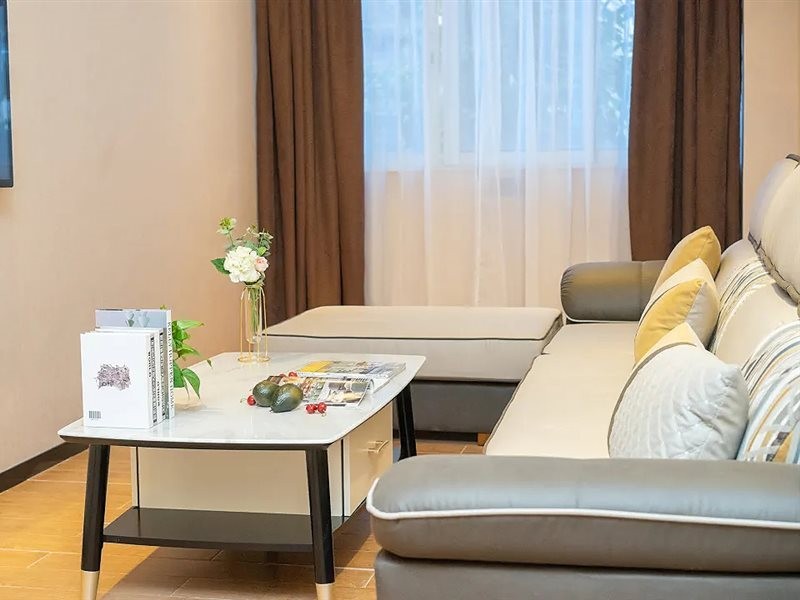 Borrman Hotel (Qingyuan Municipal Government, Qingyuan Stadium) 15/28
