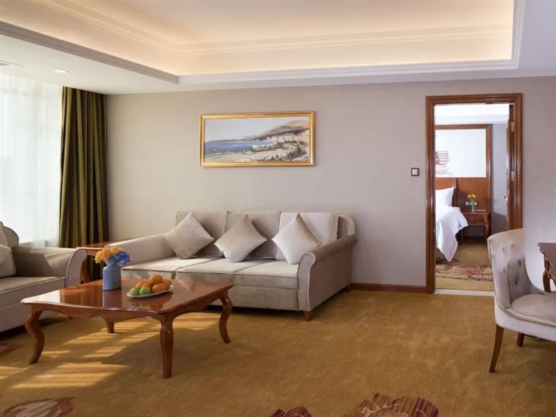Vienna Hotel (Longmen) 25/39