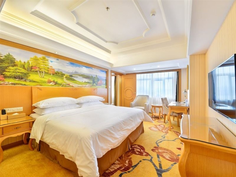 Vienna International Hotel (Shenzhen Fuyong Convention and Exhibition Center) photo3