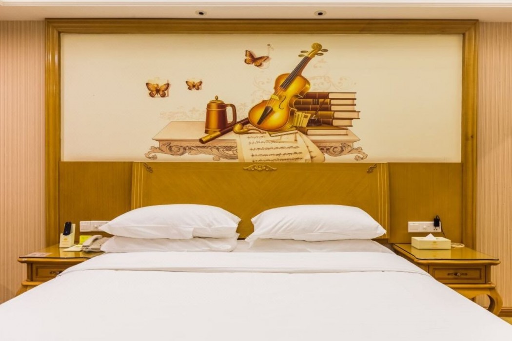 Vienna Hotel (Guangzhou Airport Road Huangshi) 29/60
