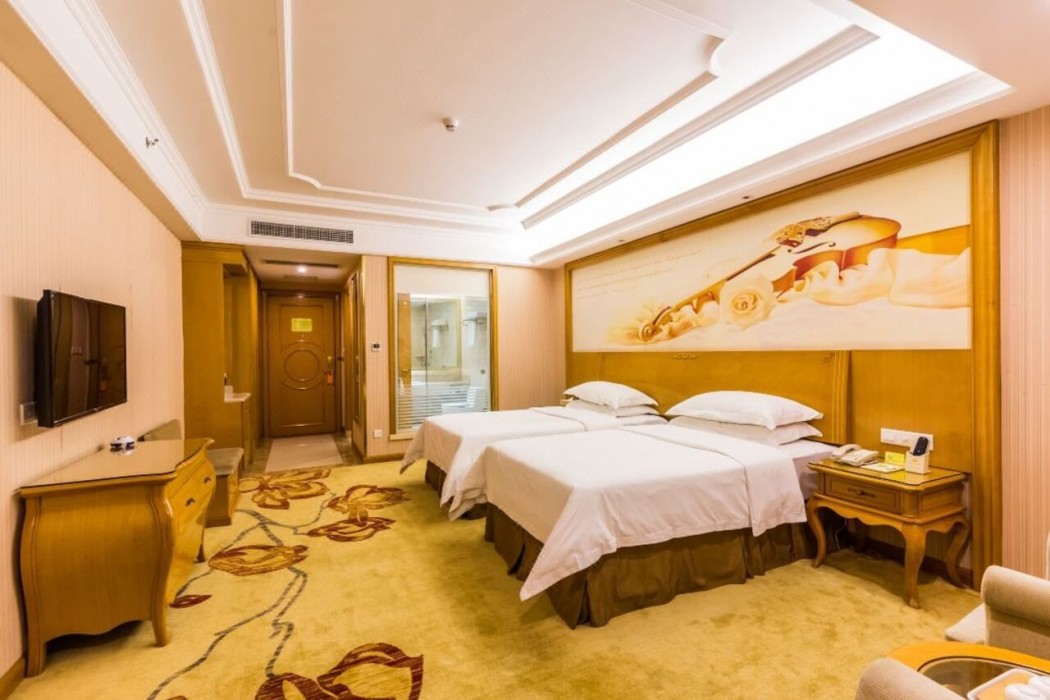 Vienna Hotel (Guangzhou Airport Road Huangshi) 31/60