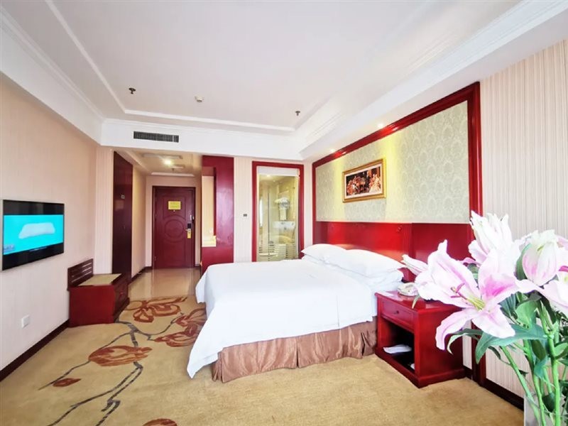 Vienna Hotel (Chongqing Changshengqiao Metro Station) 27/53