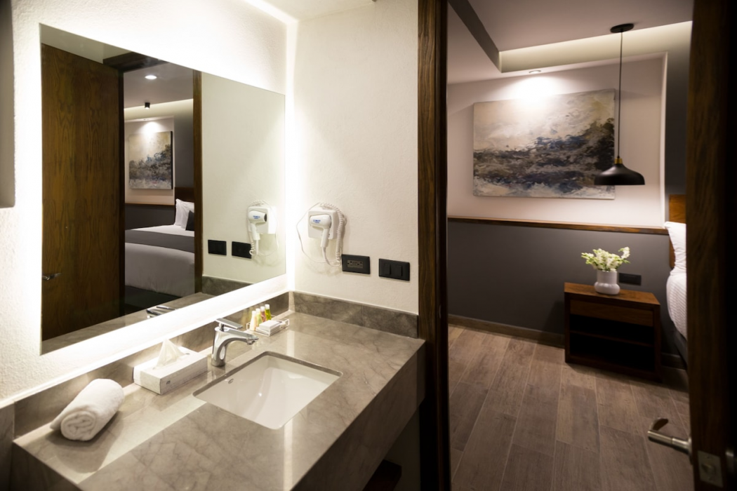 Gumont Guadalajara Lopez Mateos - Minerva Hotel 6/49