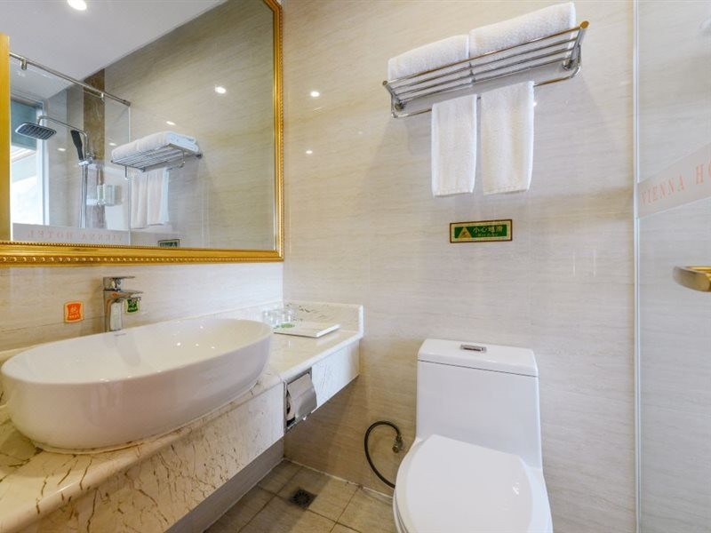 Vienna Hotel 4/4
