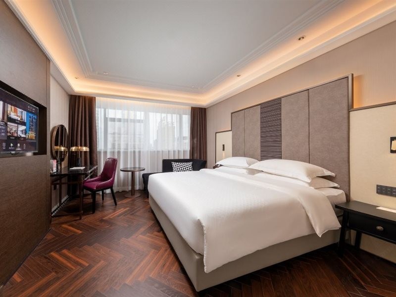 Metropolo Hotel (Shenzhen Longgang Central City Longcheng Plaza) 3/6
