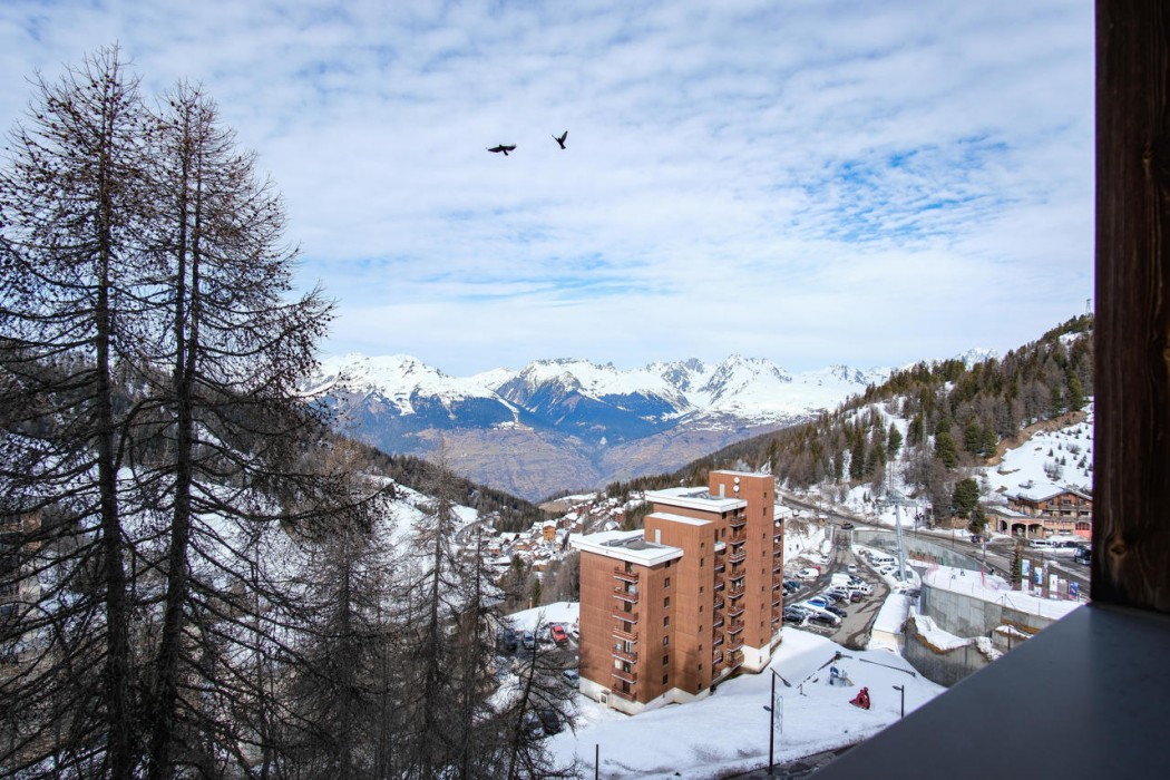 Hotel La Plagne Le Terra Nova - Winter 7/64