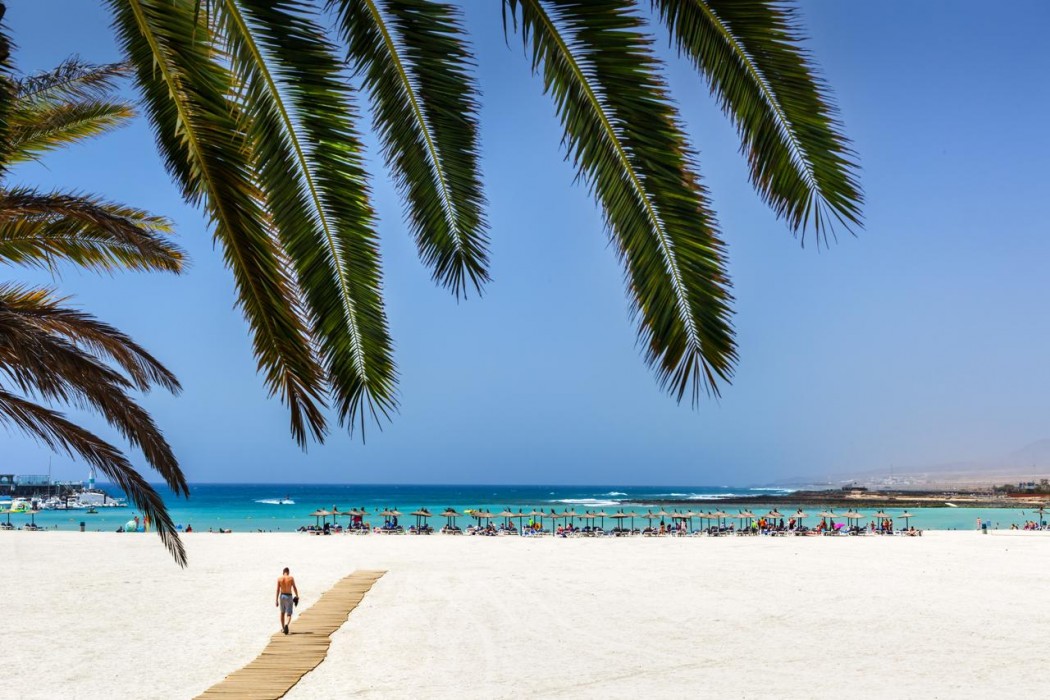 Barcelo Fuerteventura Royal Level - Adults Only 72/120