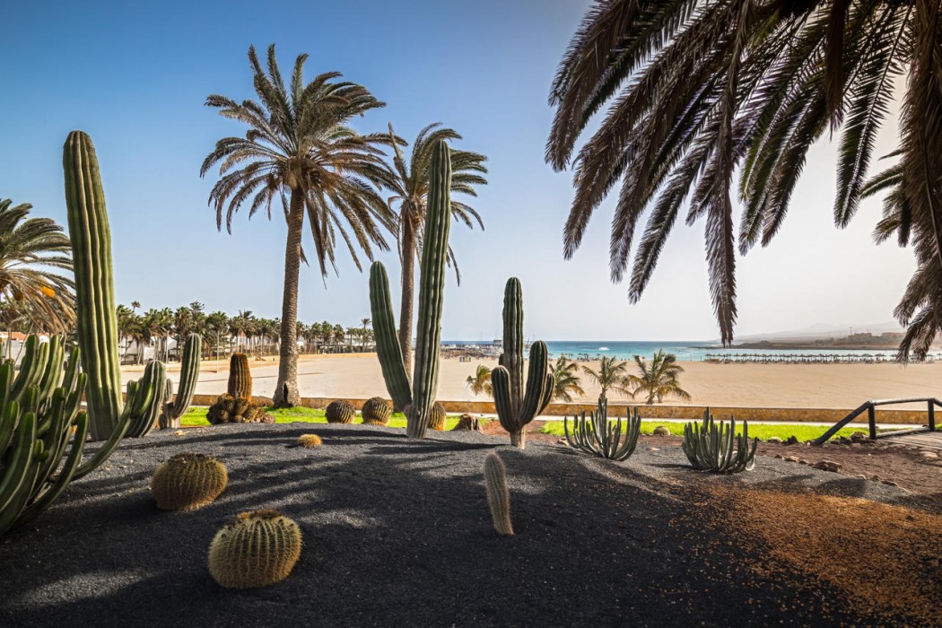 Barcelo Fuerteventura Royal Level - Adults Only 75/120