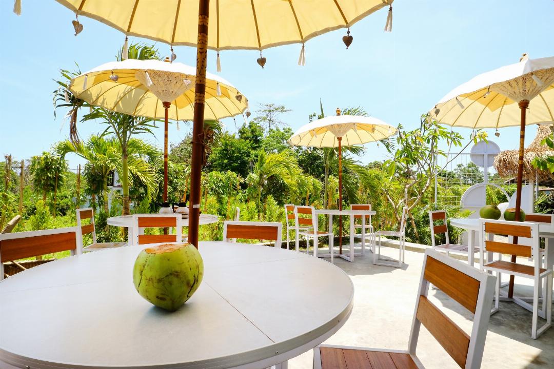 Margarita Surf Hostel Canggu 8/44