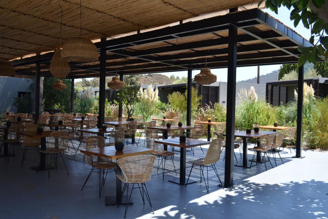 COOKS CLUB IALYSOS RHODES ADULTS ONLY 41/83