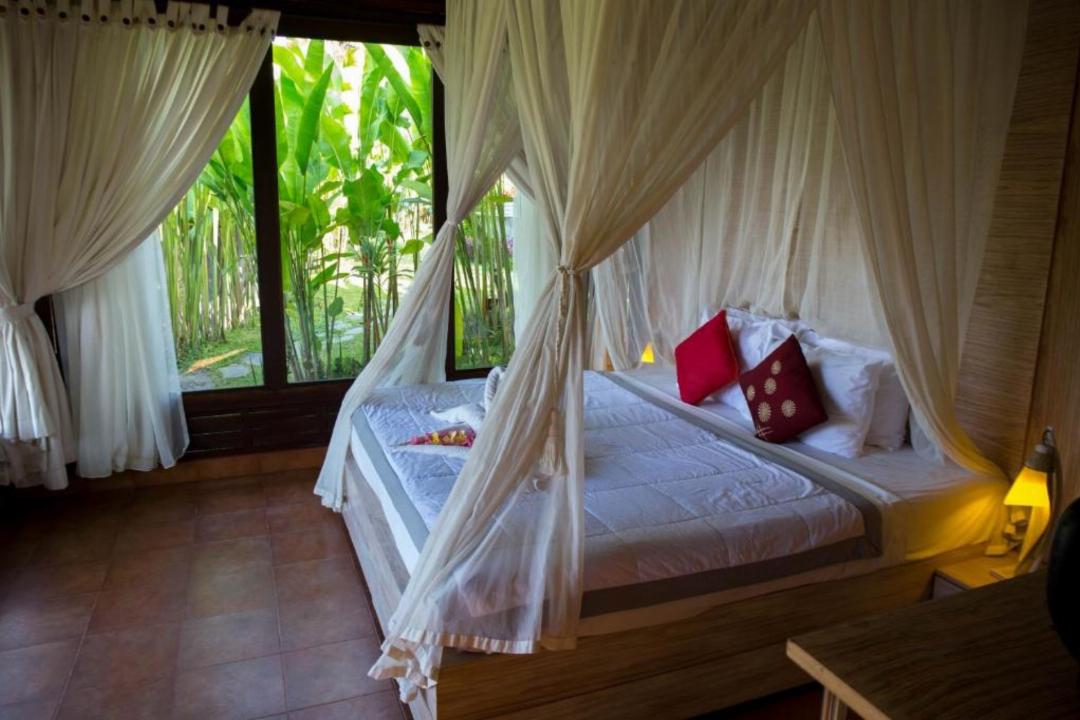 Deluxe Room with Jungle View
