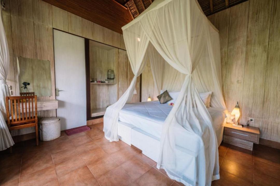 Superior Room with Jungle View