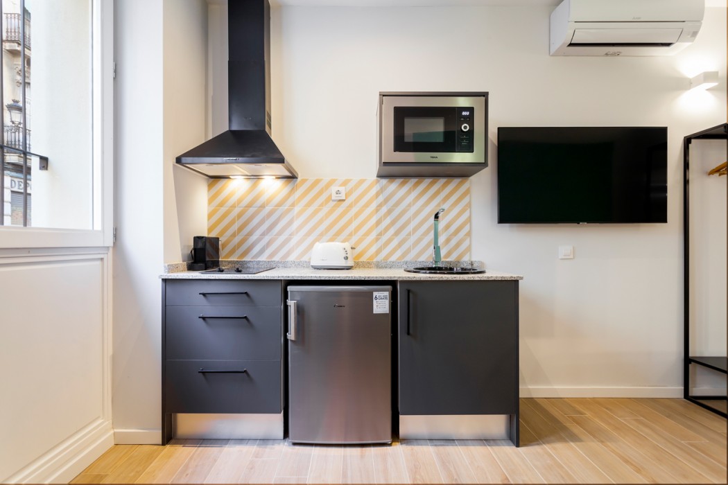 Libere Valencia Jardin Botanico Apartments 29/63