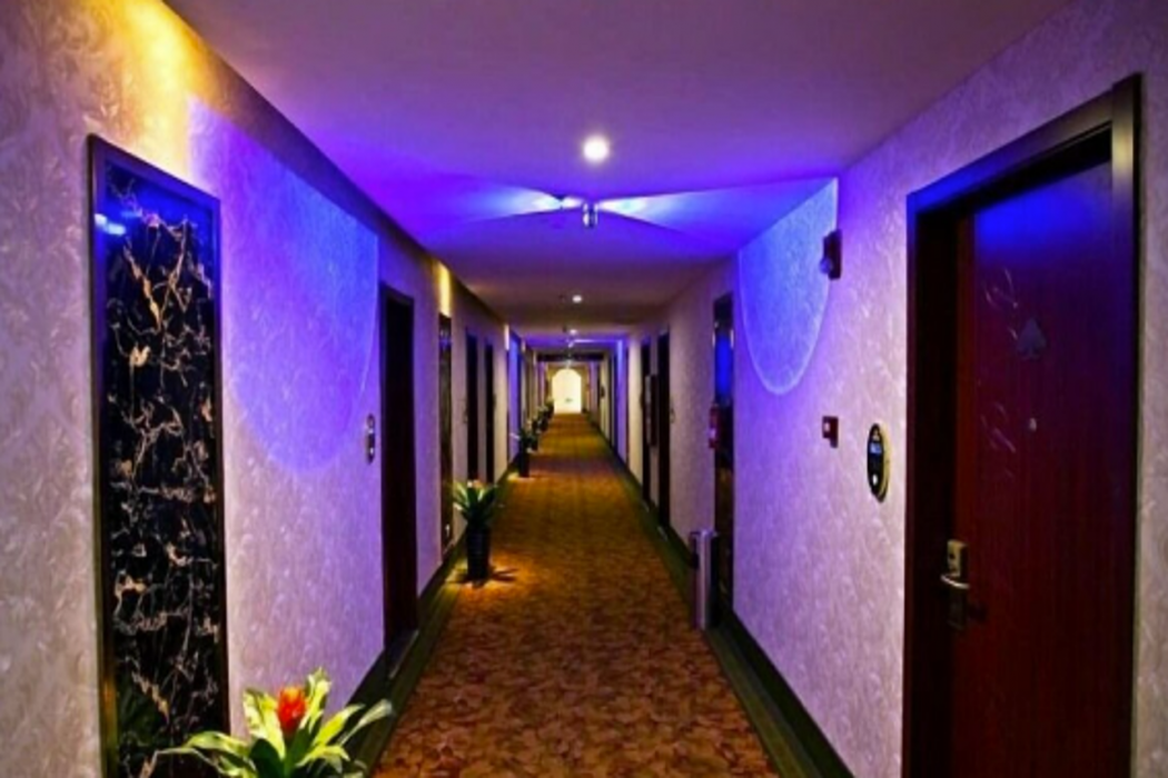 Borrman Hotel Liuzhou Guizhong Avenue Liugao 34/59