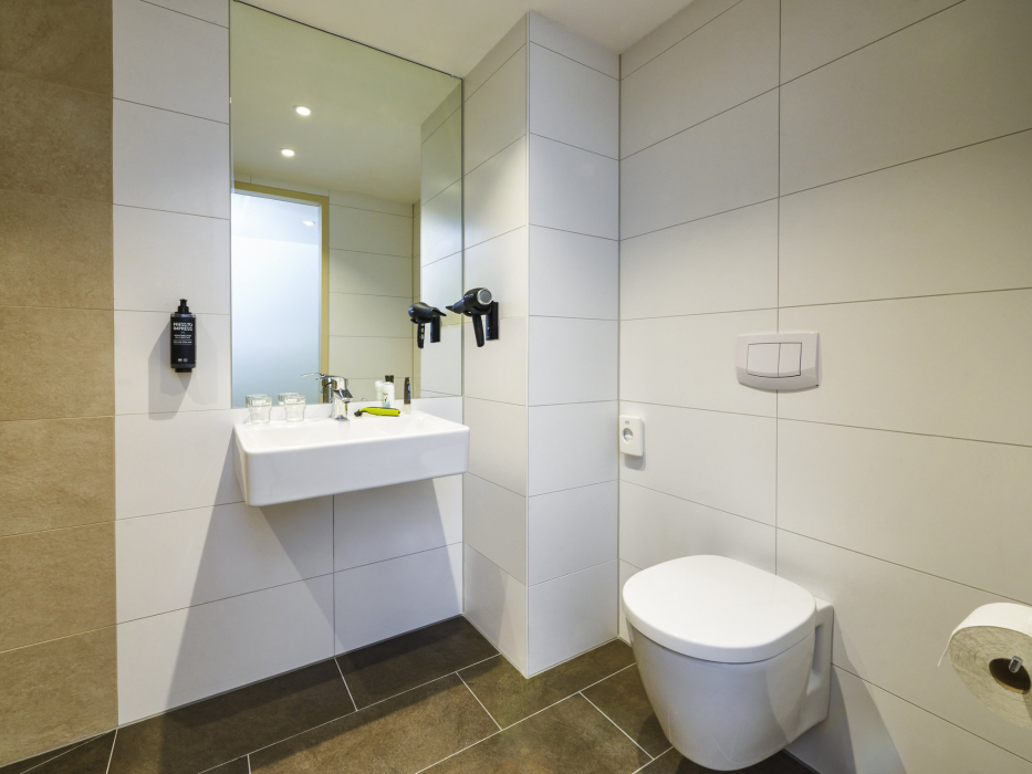 Ibis Budget Singen 8/42