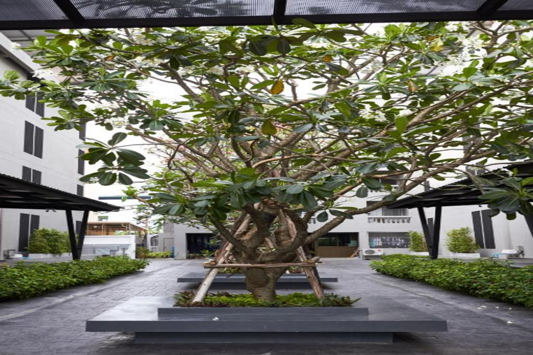 Almas Hotel Bangkok in BANGKOK