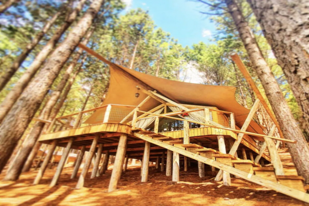 Tedesco Eco Park 2/60