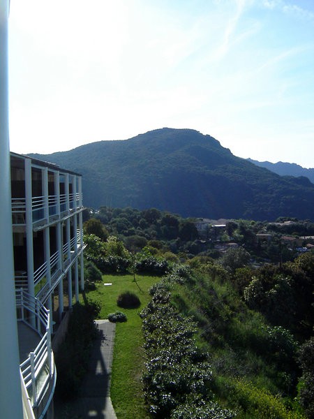 PALAZZU U DOMU 3/38