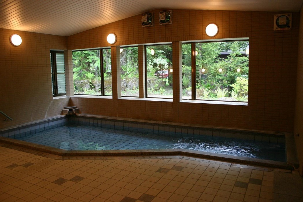 Marunuma Onsen Kankoso 8/9