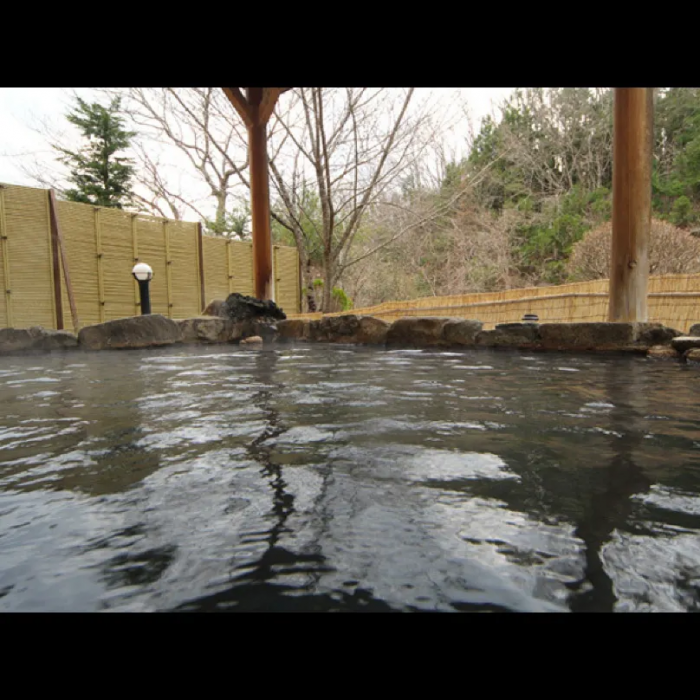 Shiobara Onsen Ryokan Majimaso 5/7