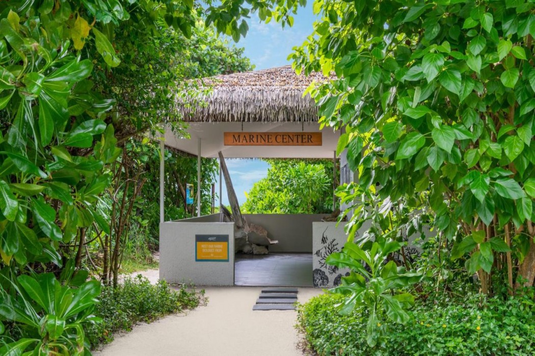 Le Meridien Maldives Resort & Spa 22/41