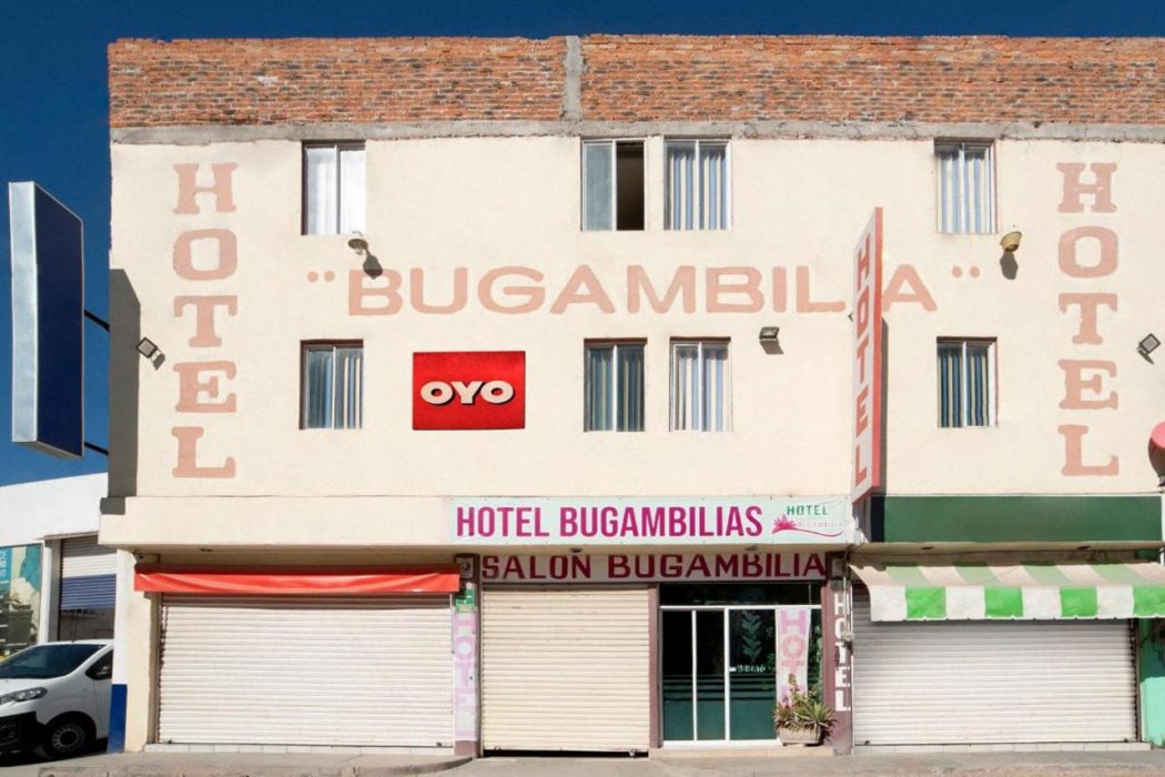 OYO酒店Posada Bugambilia, San Luis Potosi(OYO Hotel Posada Bugambilia, San Luis Potosi) 图片2