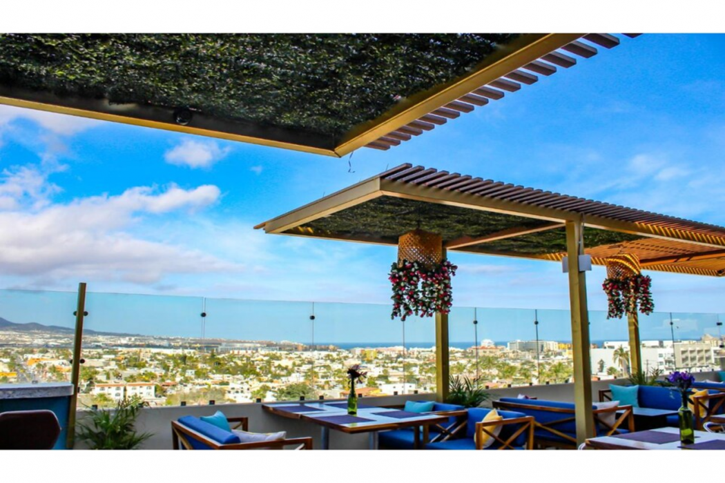 Collection O Morgan City Center, Los Cabos 34/57