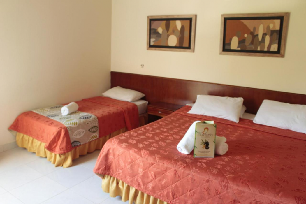 Hotel Monchuelo Spa 8/38