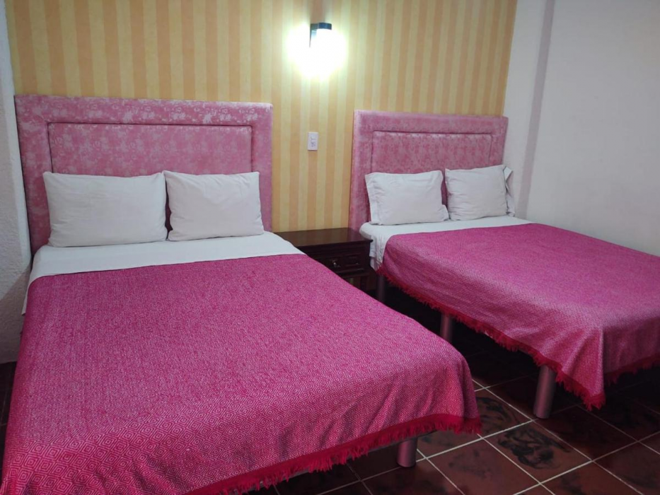 Hotel Flamingos 14/47