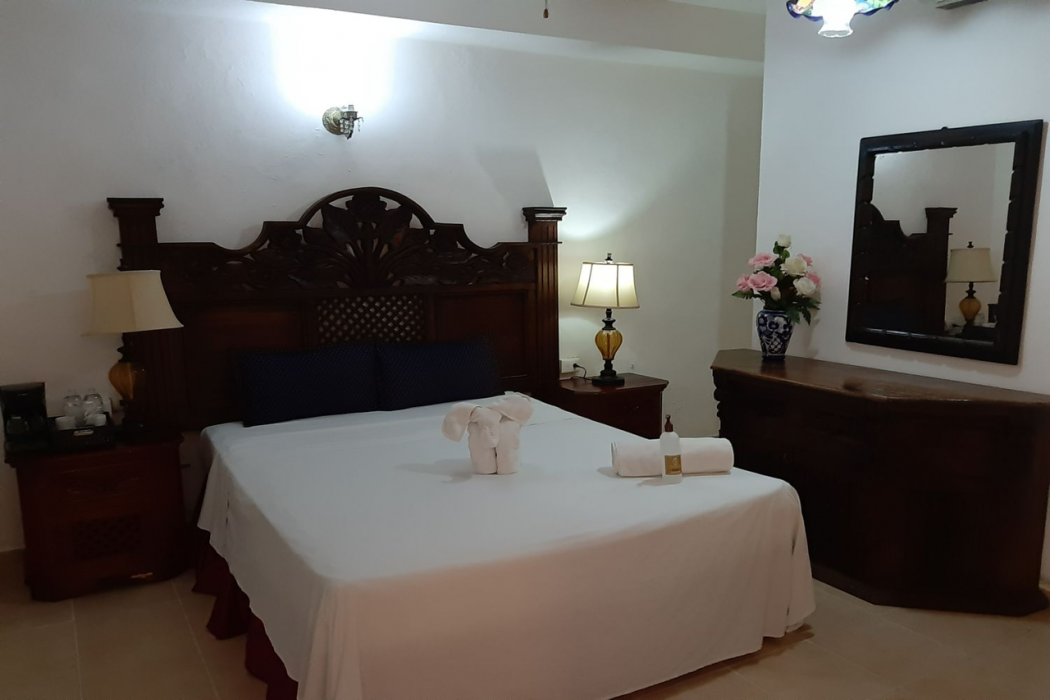 Hotel Palacio Canton 11/55