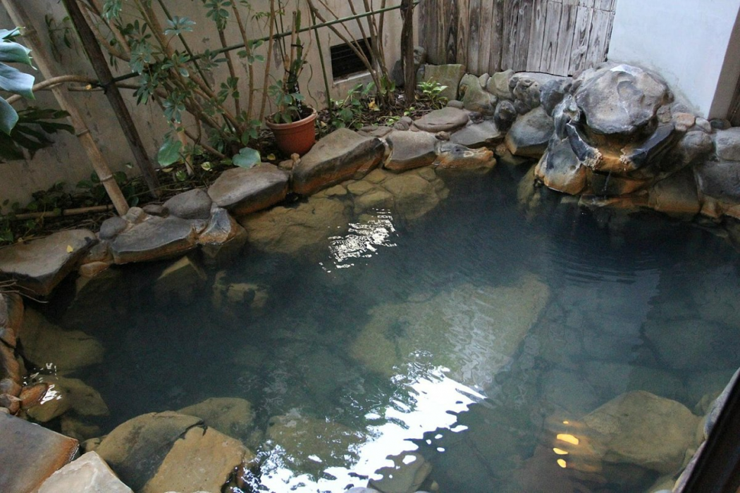 Ryokan Tsukimiso 7/18