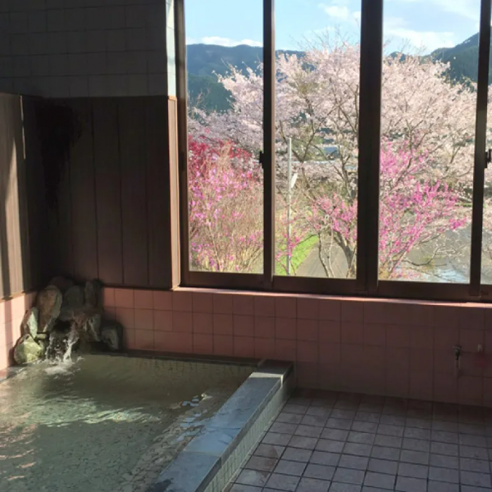 Onsen Ryokan Mizukamiso 11/51